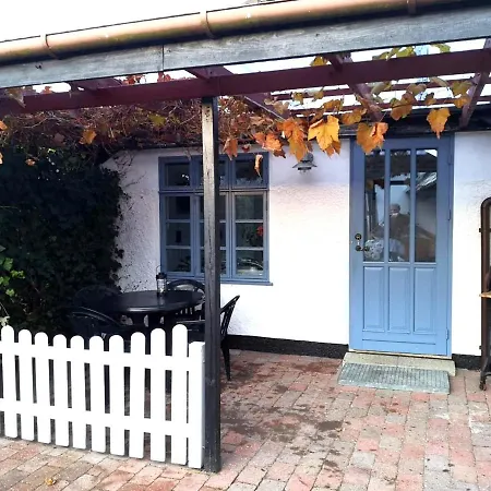 Cosy In A Garden *